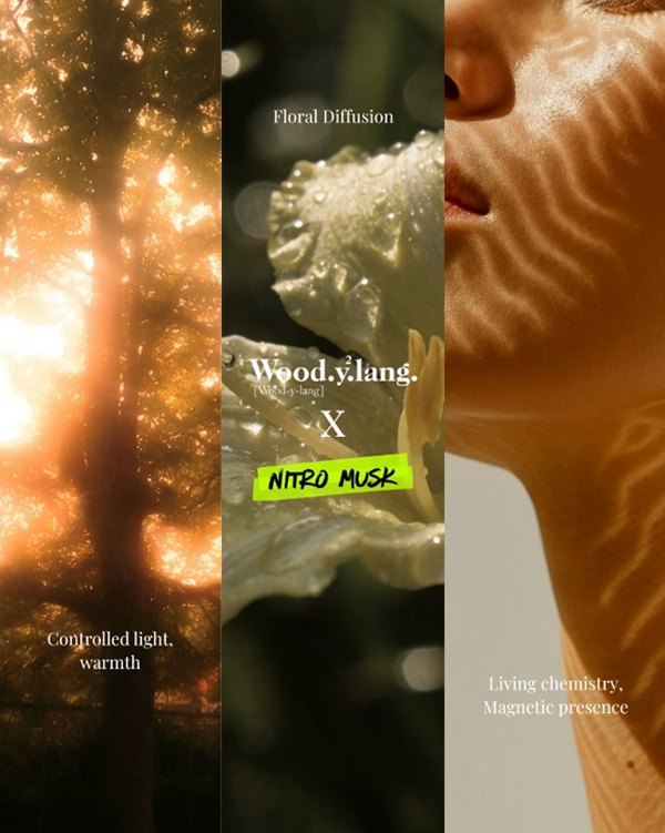 Scentologia Perfume: Layering with Nitro Musk
