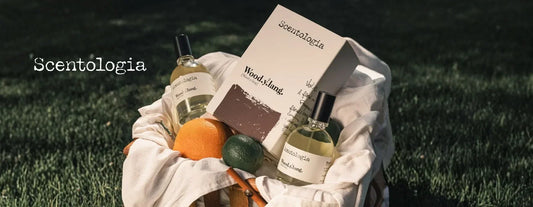 The Best Perfumes for Compliments in 2026, Tested, Worn and Adored